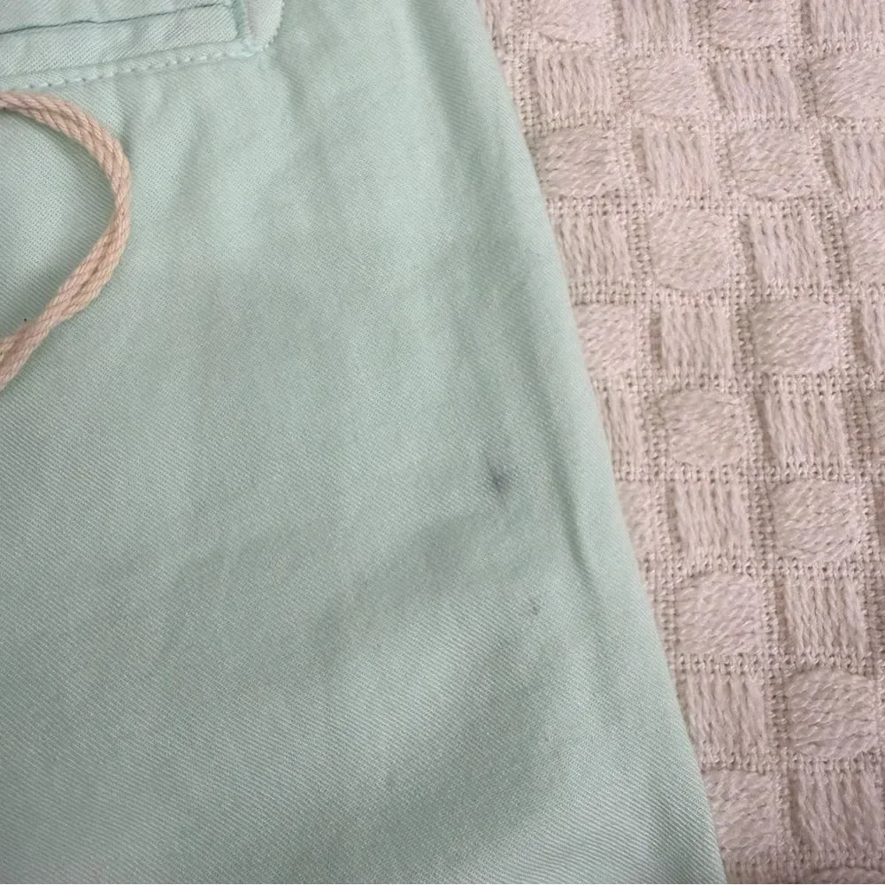 NWT Faherty Size 31 Cloud Cotton Harbor Shorts 8” Inseam Sea Foam MBC0003